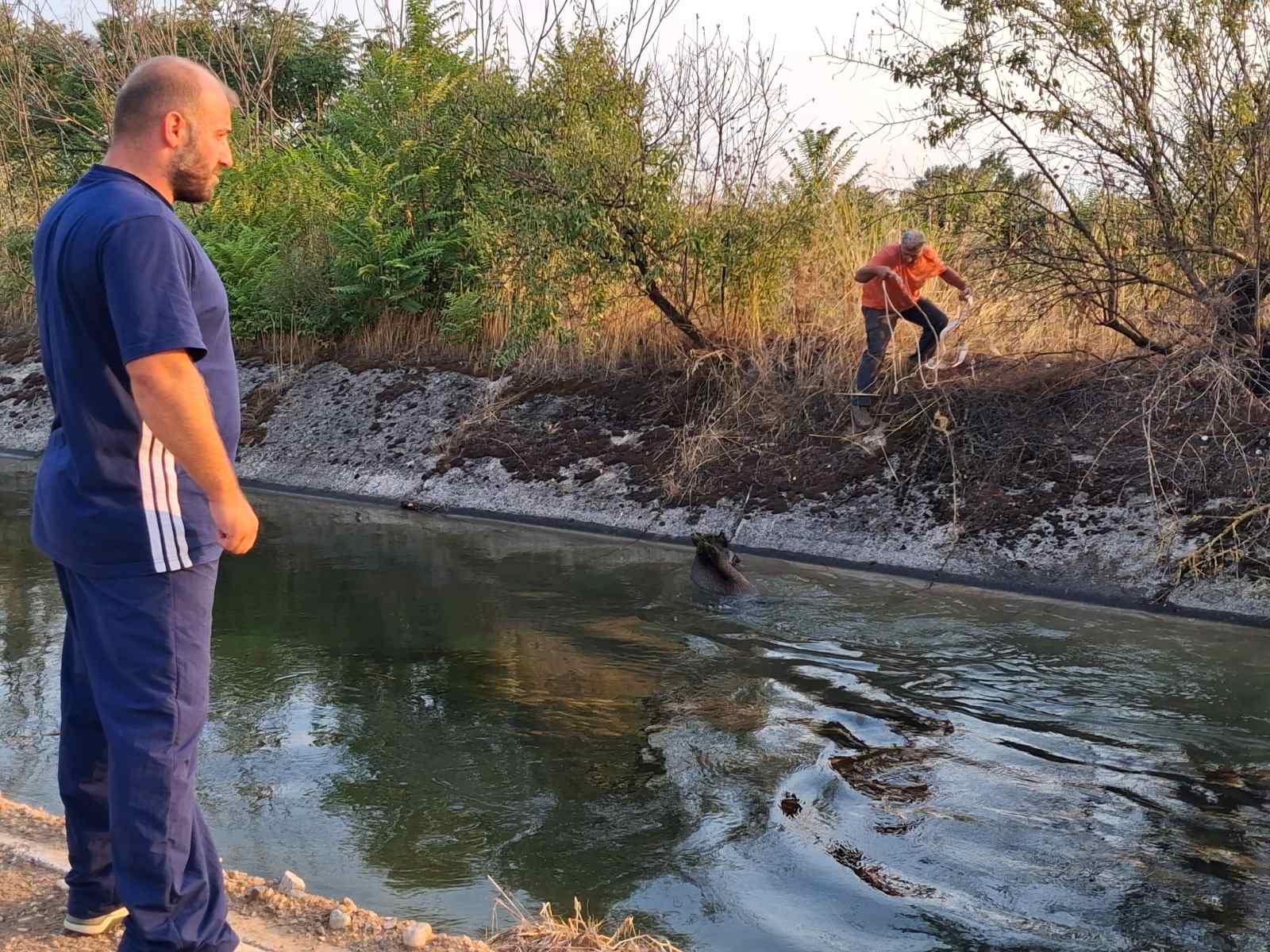 &Delta;&Iota;&Alpha;&Sigma;&Omega;&Sigma;&Eta; &Alpha;&Gamma;&Rho;&Iota;&Omicron;&Chi;&Omicron;&Iota;&Rho;&Omega;&Nu; &Kappa;&Omicron;&Mu;&Alpha;&Theta; &Gamma;&iota;&alpha;&nu;&nu;&iota;&tau;&sigma;ά 26&beta;