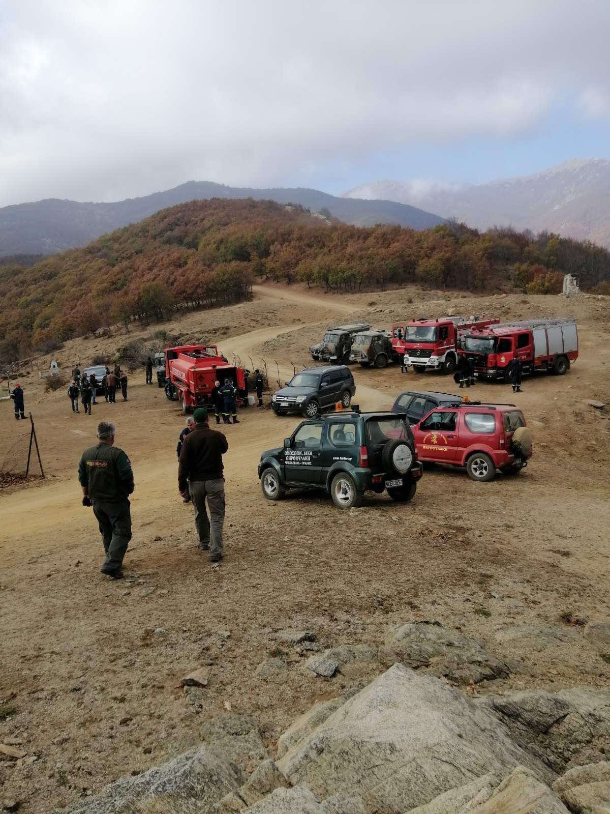 &Theta;&eta;&rho;&omicron;&phi;&upsilon;&lambda;&alpha;&kappa;&eta; &Phi;&omega;&tau;&iota;ά 2 &delta;&epsilon;&kappa;25