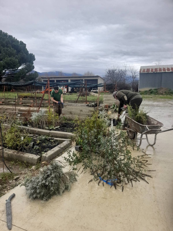 &Kappa;&Omicron;&Mu;&Alpha;&Theta; &Phi;&Upsilon;&Tau;&Epsilon;&Upsilon;&Sigma;&Epsilon;&Iota;&Sigma; &Alpha;&Lambda;&Epsilon;&Xi; 2026&beta;