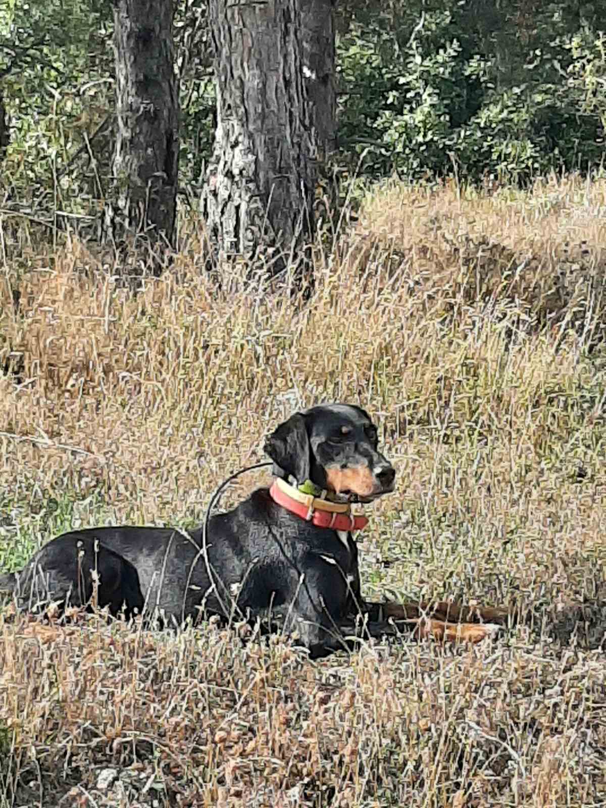 εικόνα Viber 2026 02 10 11 47 38 862