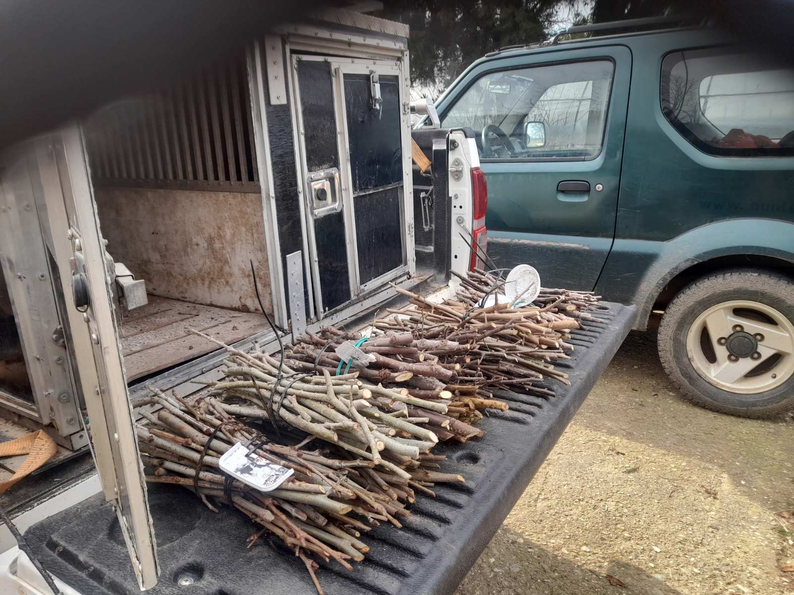 &epsilon;&iota;&kappa;ό&nu;&alpha; Viber 2026 02 27 09 04 21 044