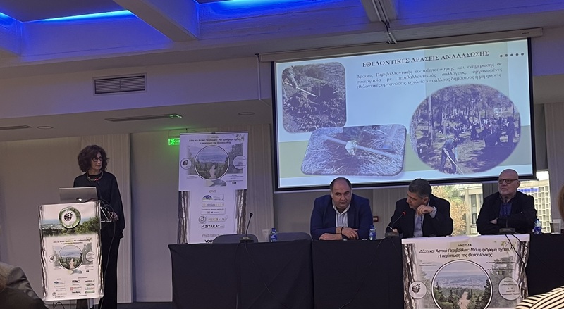 κενγεοτεε 11