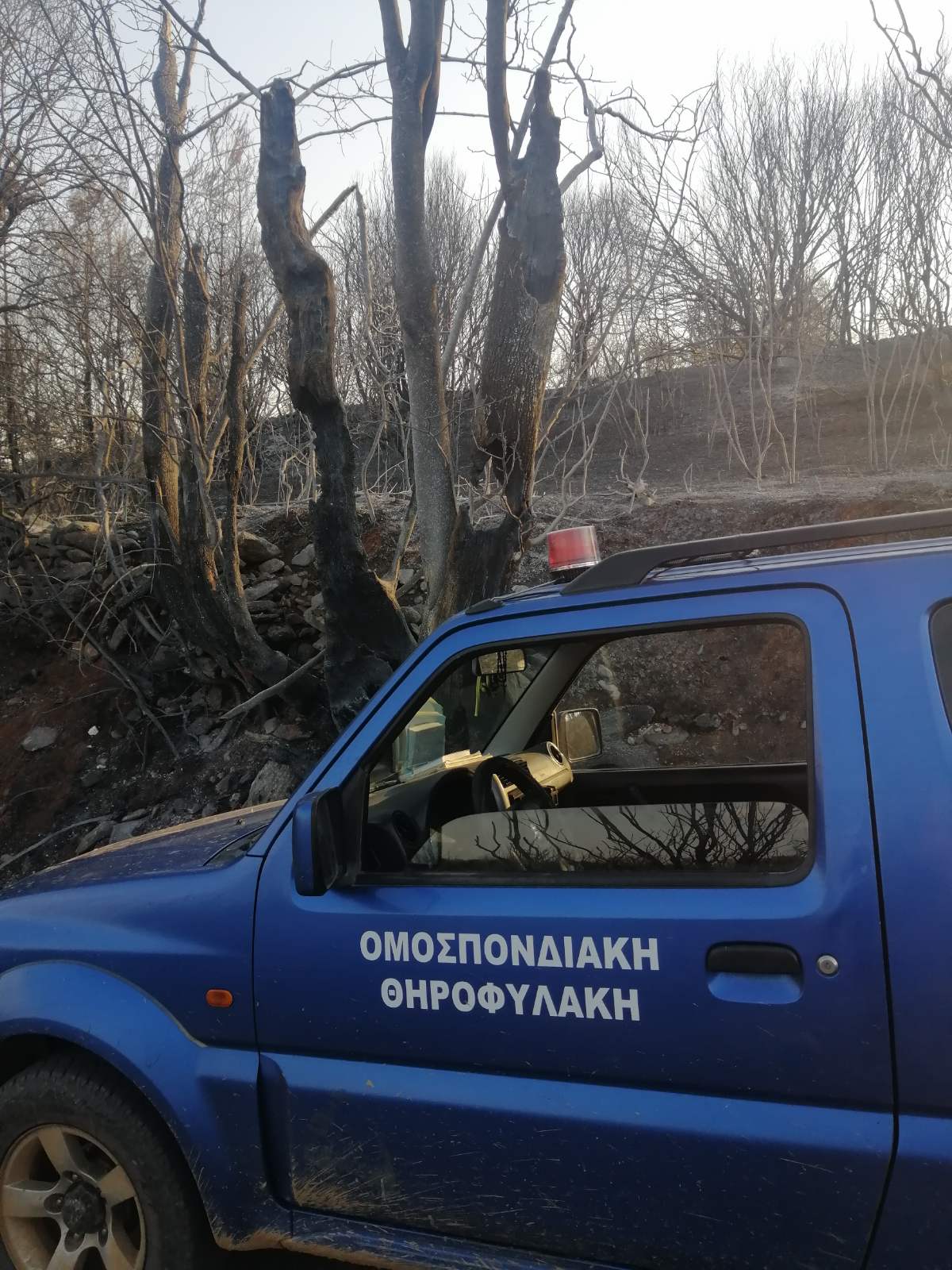  ΚΟΜΑΘ πυρκαγια23c