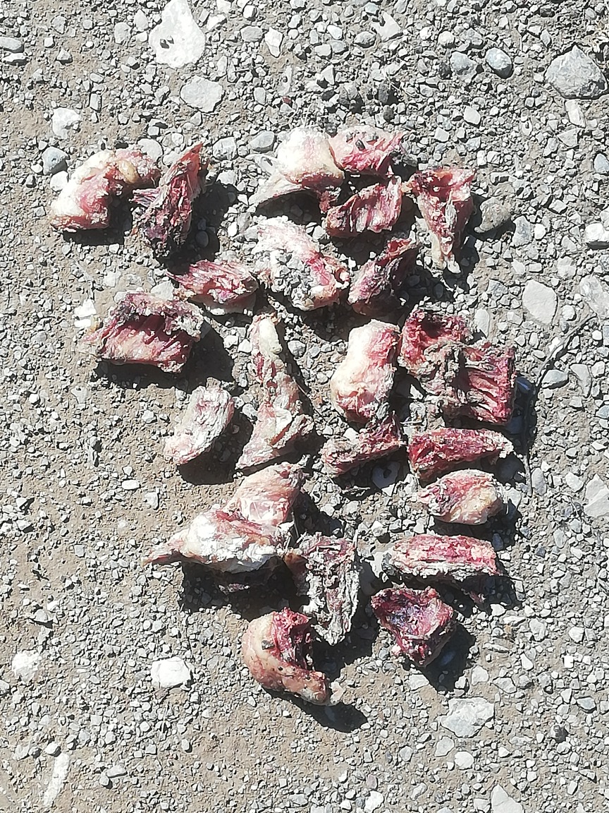  Σμίξη