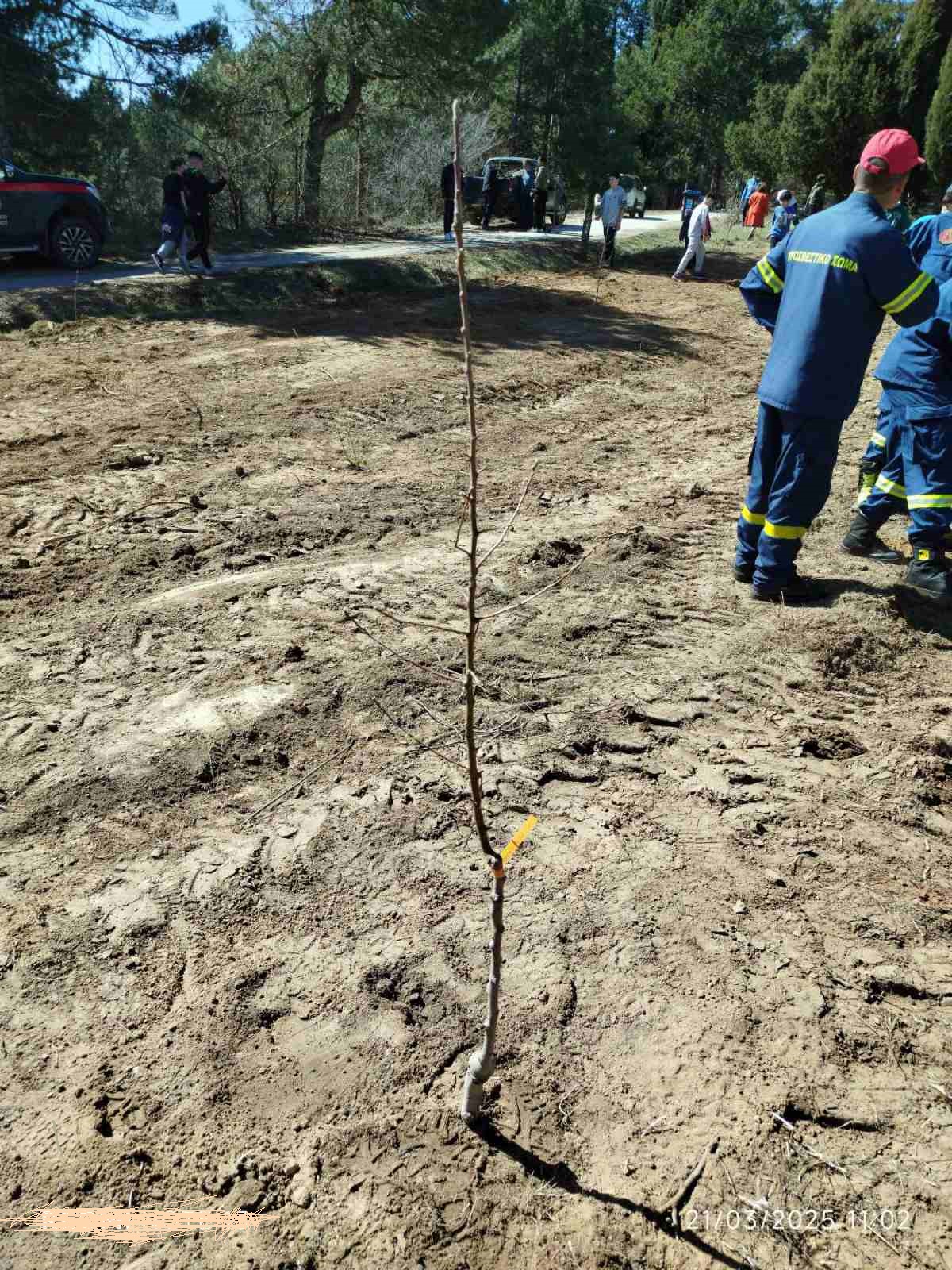  σχολειο 3 τσοτυλ κομαθ