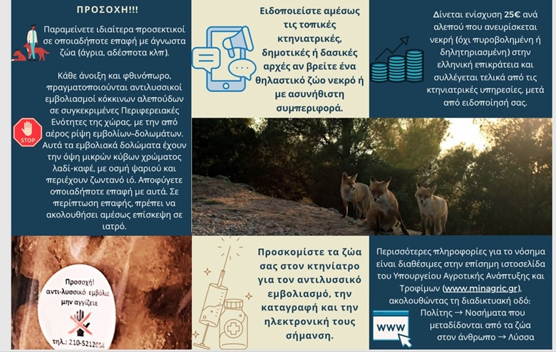 FYLLADIO LYSSA 2026a2