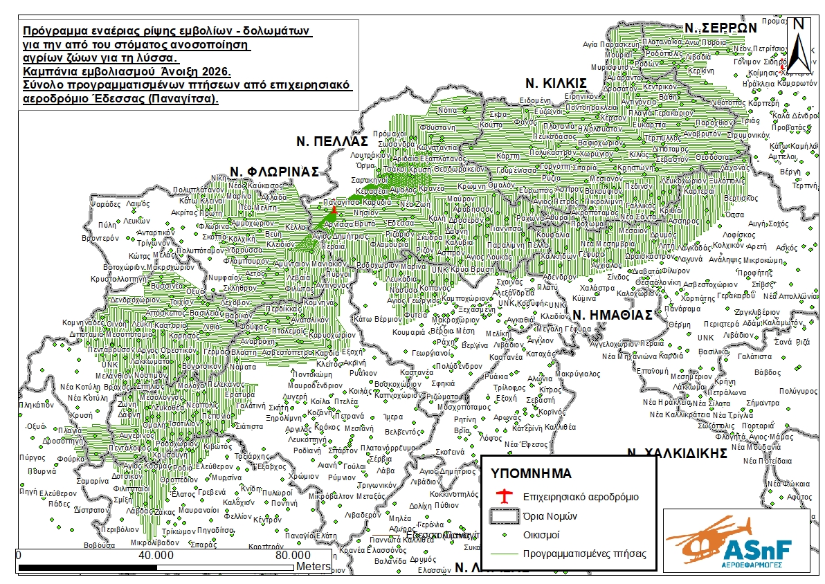 Lyssa 2026 Edessa Report