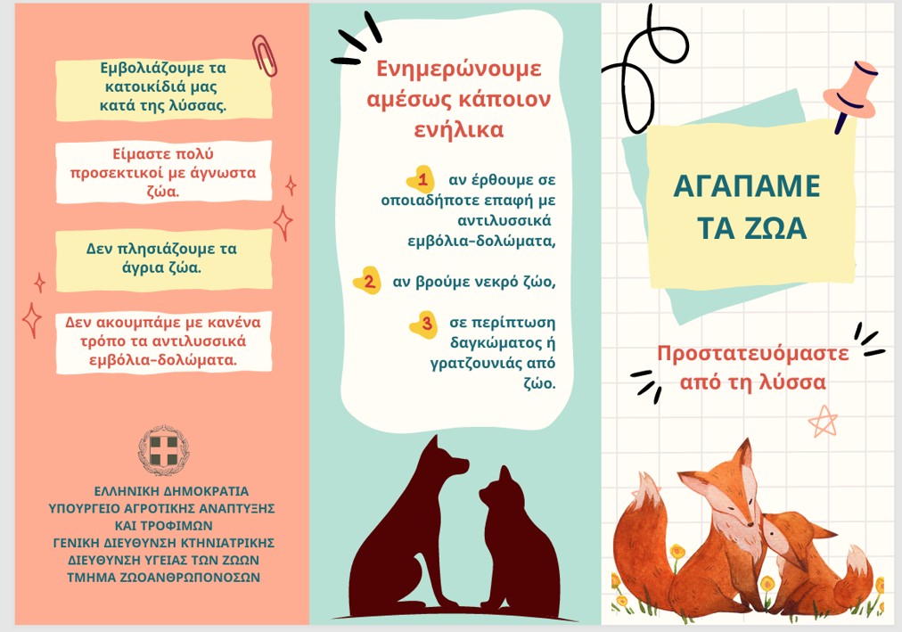 PAIDIKO FYLLADIO LYSSA 2026a2