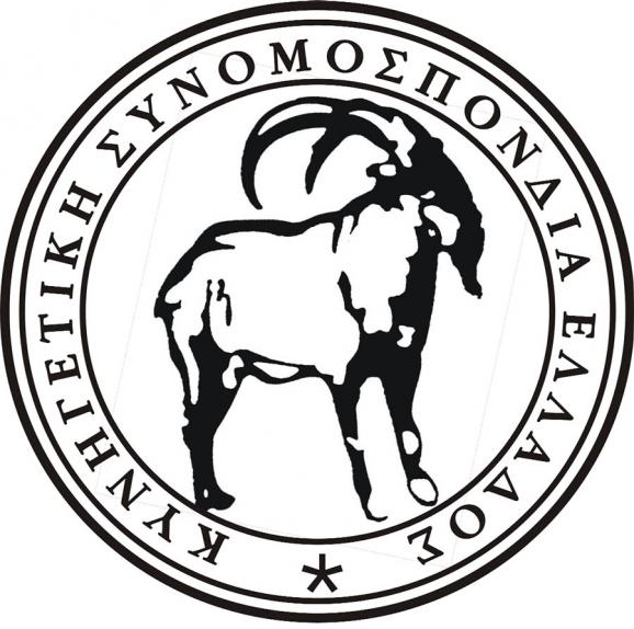 kse logo 9