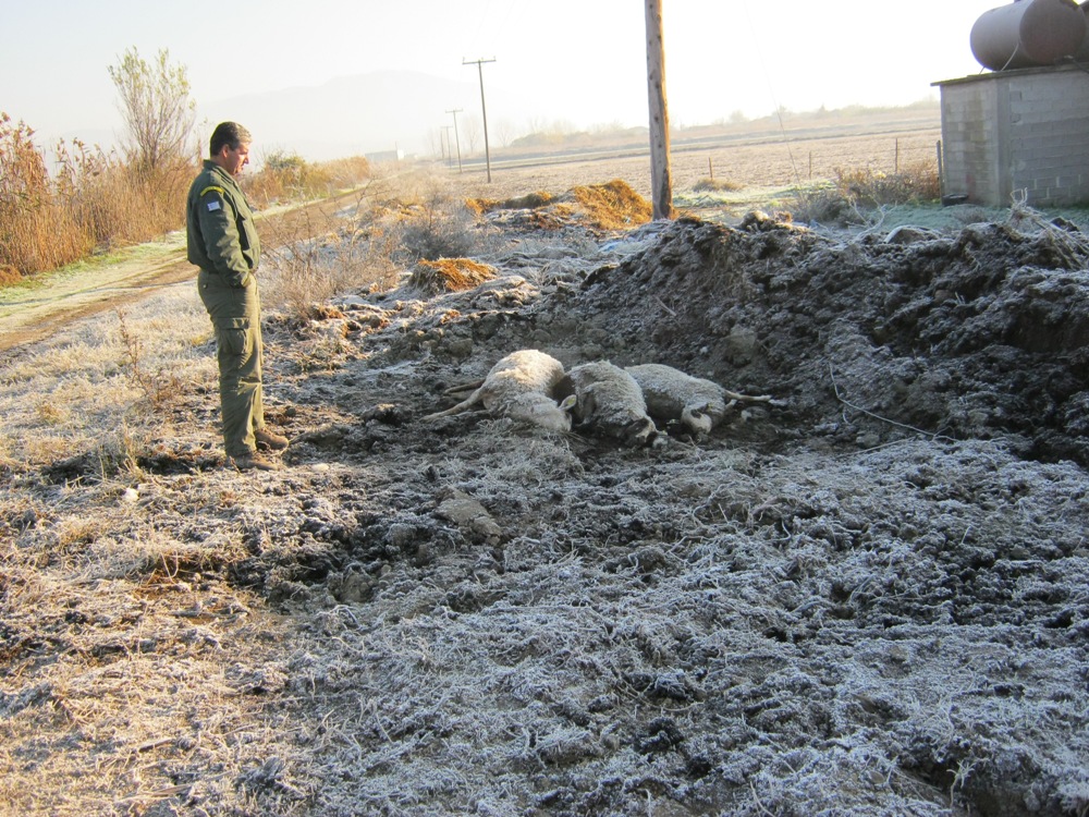 ???????????????????????????????