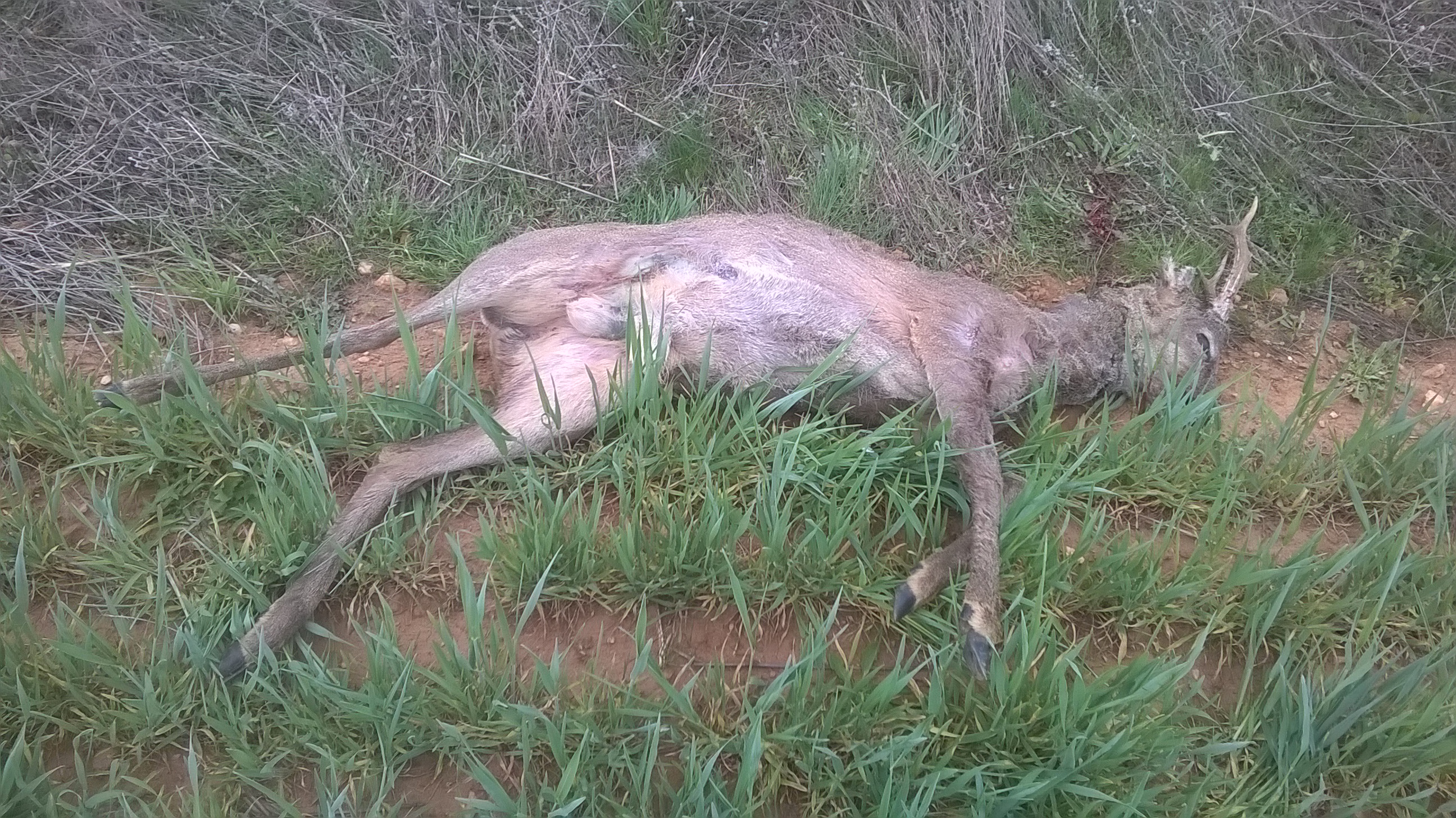 WP_20170403_09_42_59_Pro