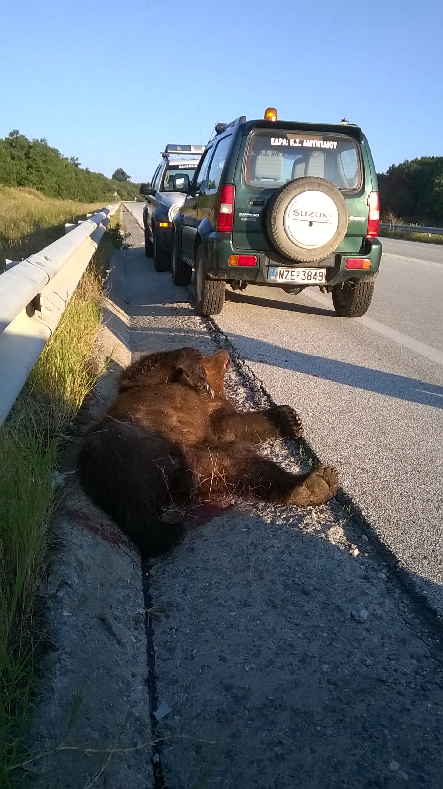 arkouda-amyntaio 7-2017